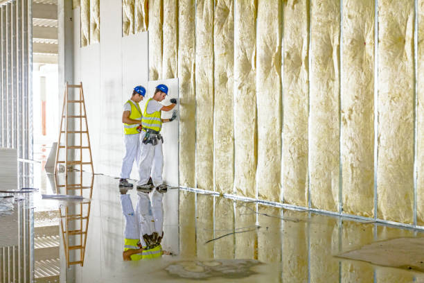 Insulation Air Sealing in East Cleveland, TN